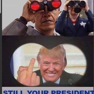 Meet your Posher, Peter